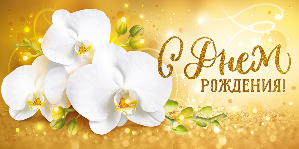 Конверты для денег С Днем Рождения! (орхидеи), Золото, с блестками, 10 шт.
