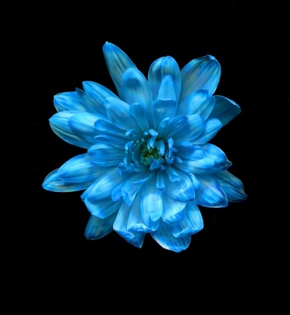 Флористическая краска 0,275л №21 голубой