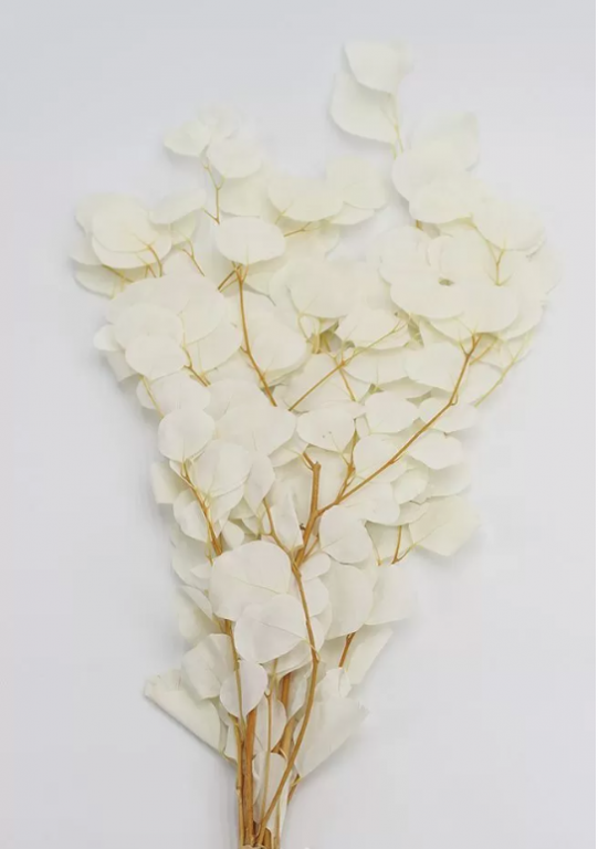Сухоцвет "Эвкалипт Цинерия", длина 60-70 см, 100 гр/упак., белый.
