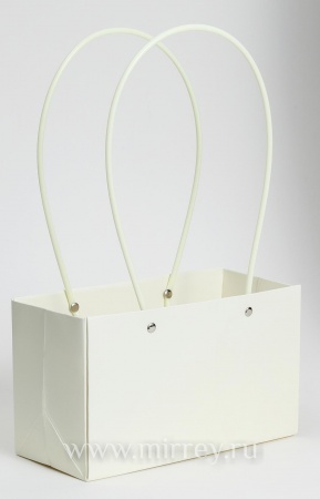 Пакет подарочный "Мастхэв" прямоугольный, 22х10х13 см, 10 шт./упак., бледно-желтый