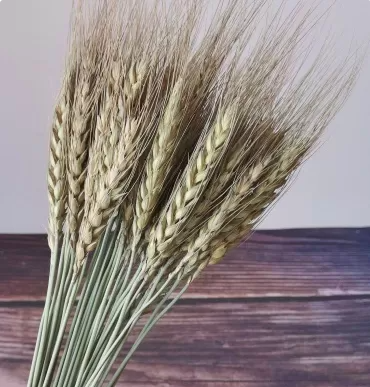 Сухоцвет "Пшеница", длина 60-70 см, 50-60 гр, 50 шт/упак., натуральный