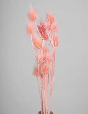 Сухоцвет "Чертополох", 13-15 шт/упак., розовый