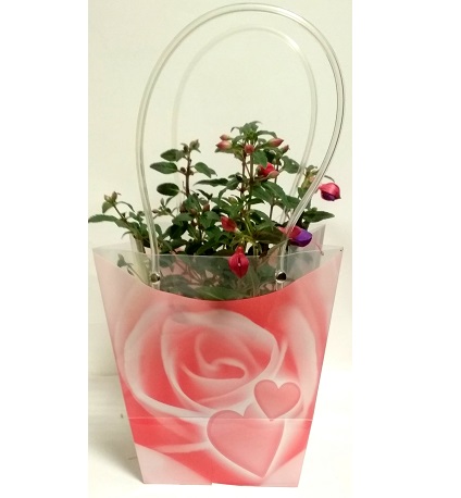 Пакет пластиковый подарочный для горшечных цветов-Томашевски