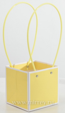Пакет подарочный "Мастхэв с белой окантовкой", 12,5х11,5х12,5 см, 10 шт./упак., пастельно-желтый