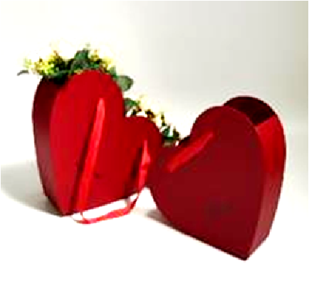 Сумка в форме сердца Love набор из 2-х шт. красный