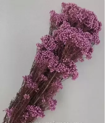 Сухоцвет "Рисовый цветок (Диосми)", длина 60-70 см, 3-5 веток/упак., 100 гр, сиреневый